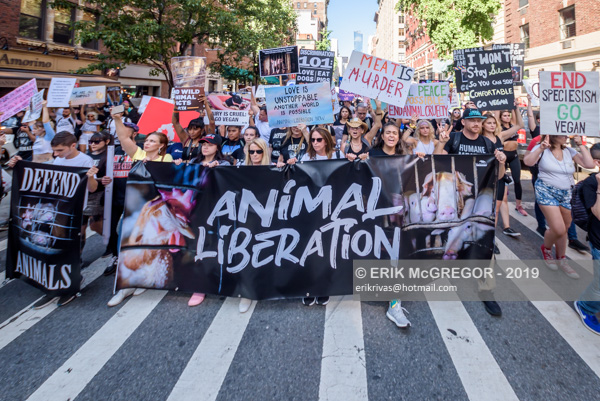 Hundreds of Animal Liberation activists gathered for the Official 2019
