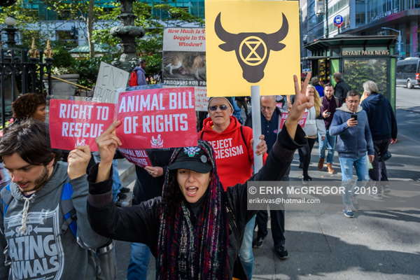 Animal Rights Activists March to the UN Building in Order to Pass a  Resolution on an Animal Bill of Rights – Erik McGregor Photography
